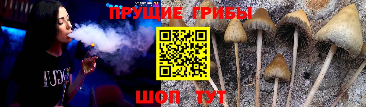Протвино  Псилоцибиновые грибы мицелий  Галлюциногенные грибы мицелий  Вход с VPN 